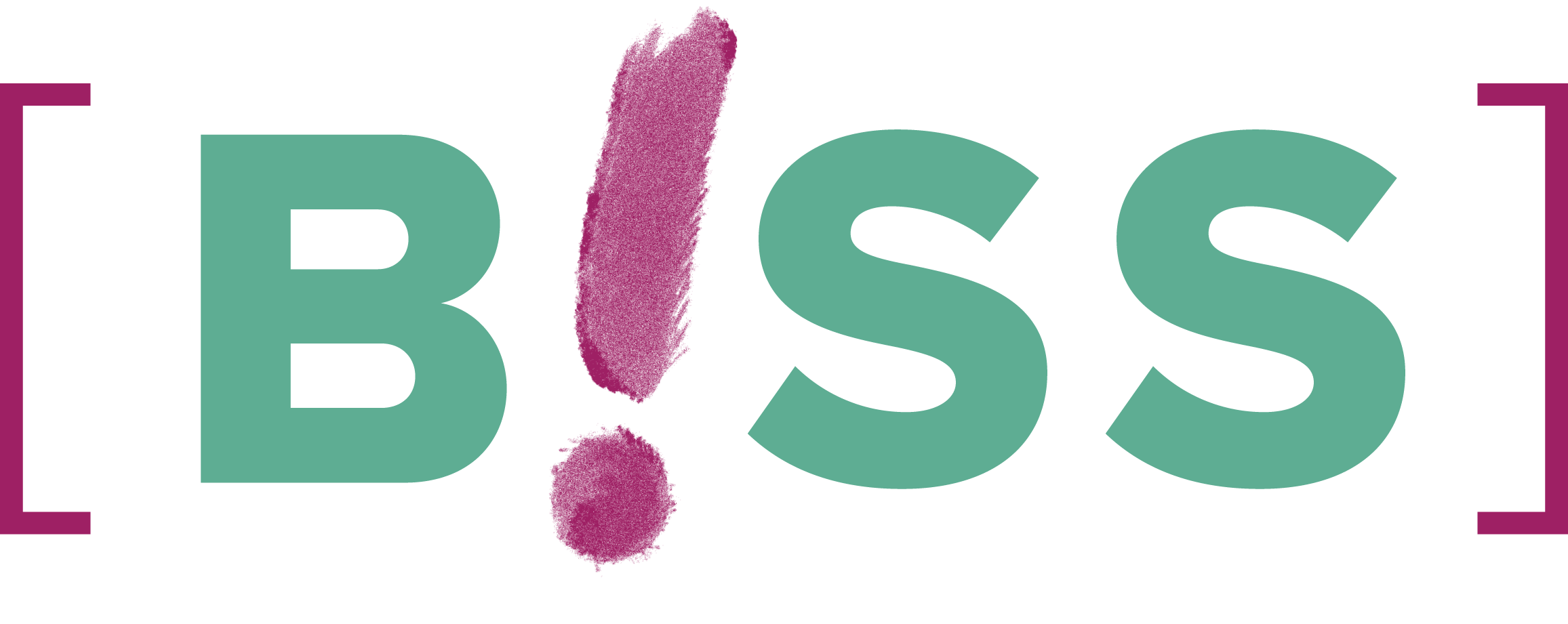 BISS Braunschweig - Beratungs- und Interventionsstelle bei häuslicher Gewalt